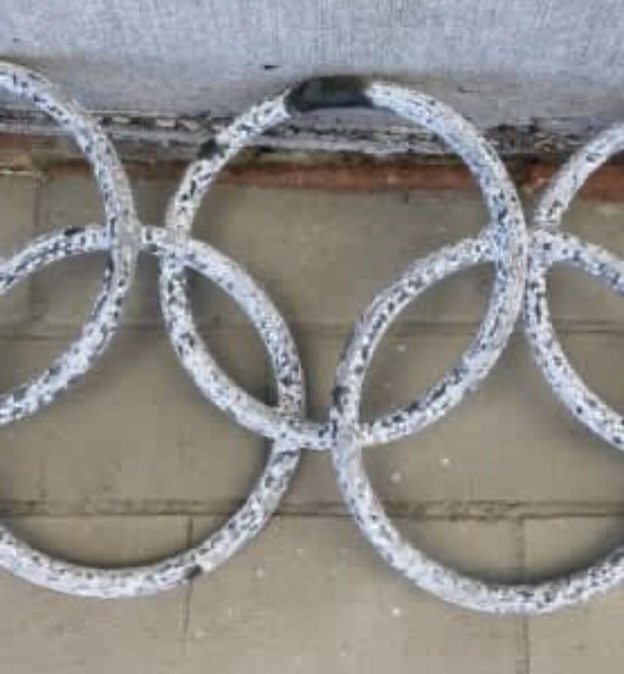 48cm Cast Aluminium Olympic Rings floral topiary frames Wall Art Limed Patina