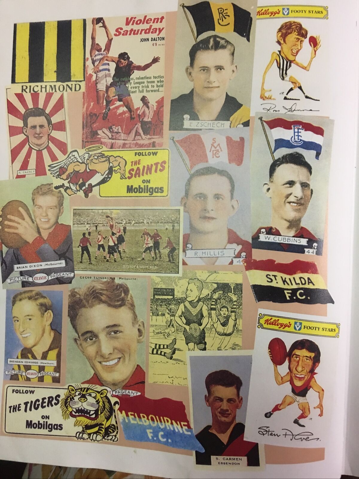 THE CLUBS The Complete History of Every Club in the VFL AFL Football HC 1998