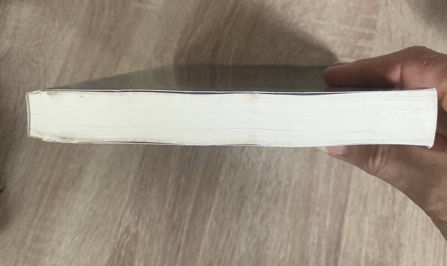 PB Book DISSENSION Book One Adrienne Monson 2013 The Blood Inheritance Trilogy