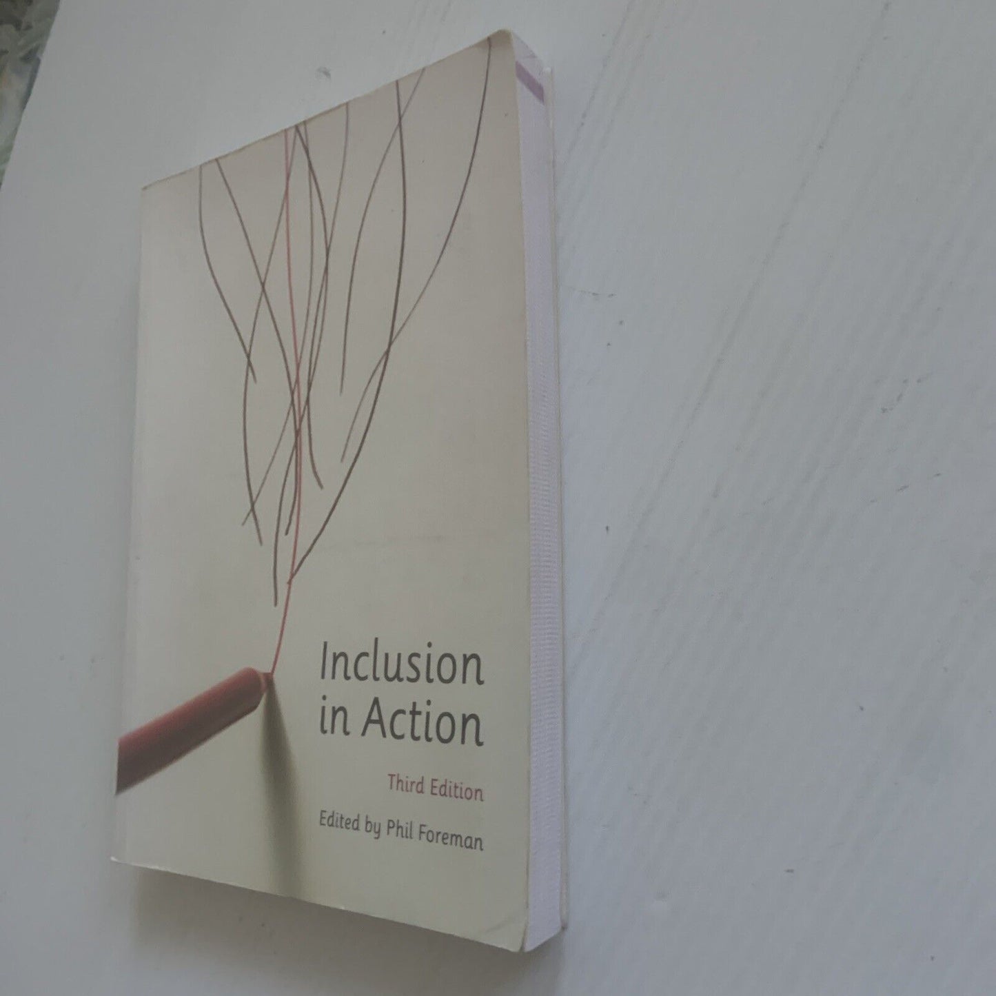 PB Book INCLUSION IN ACTION by Phil Foreman 2011 3rd Edition Cengage Learning
