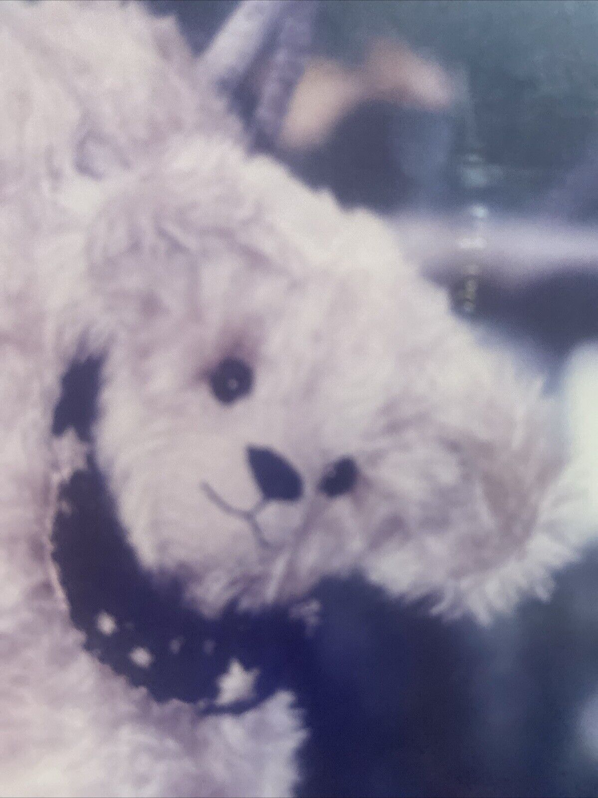 Jervis Bay Bears “Hang Around Harry” Toy BEAR Pattern + List Mohair Australia