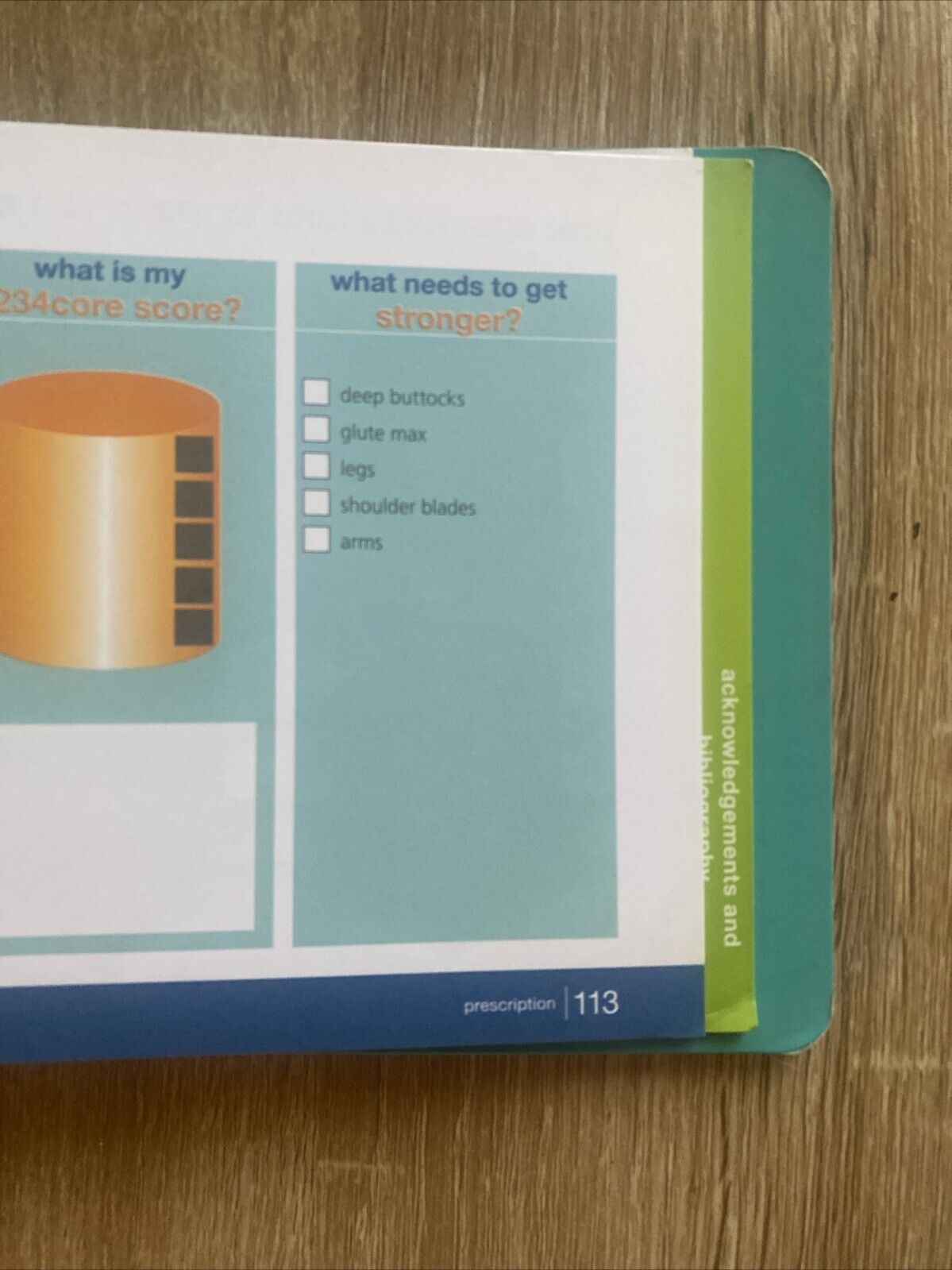 PHYSIOCISE Backs Brains Breathing Anna Louise Bouvier Spiral BOARD Book 2008 6th
