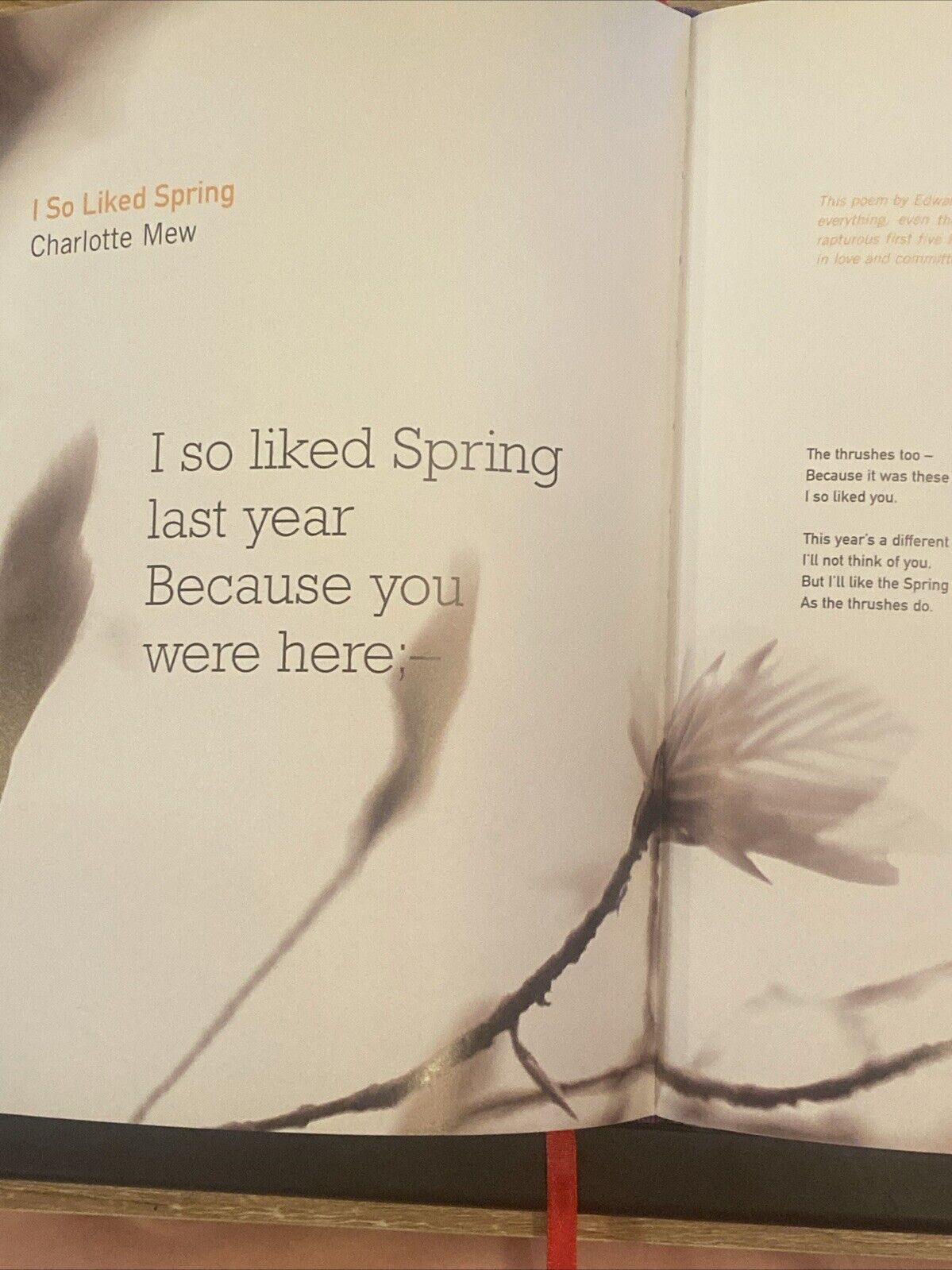 POEMS TO LAST A LIFETIME Daisy Goodwin Large Hardcover DJ Red Ribbon Anthology