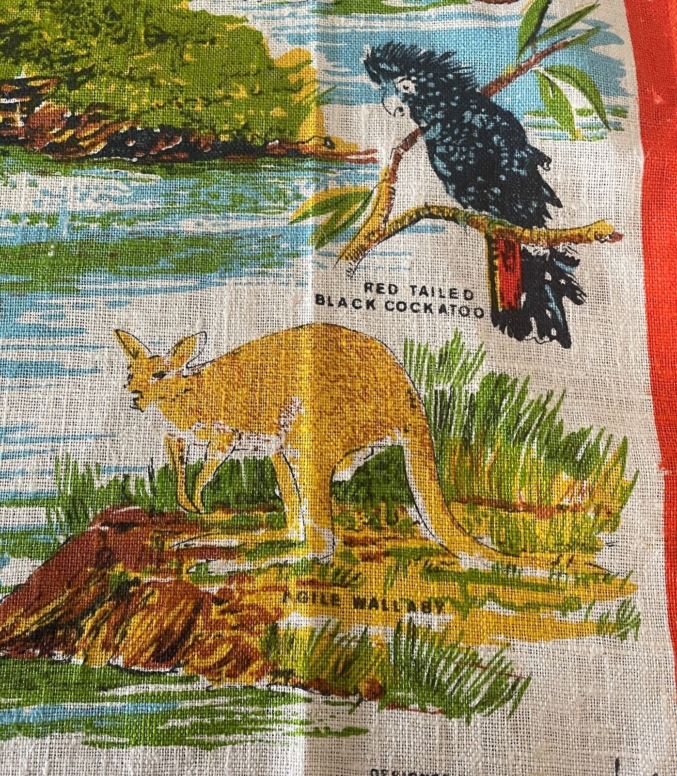 Vintage New "KAKADU National Park" NT Tea Towel Souvenir Flora and Fauna Print