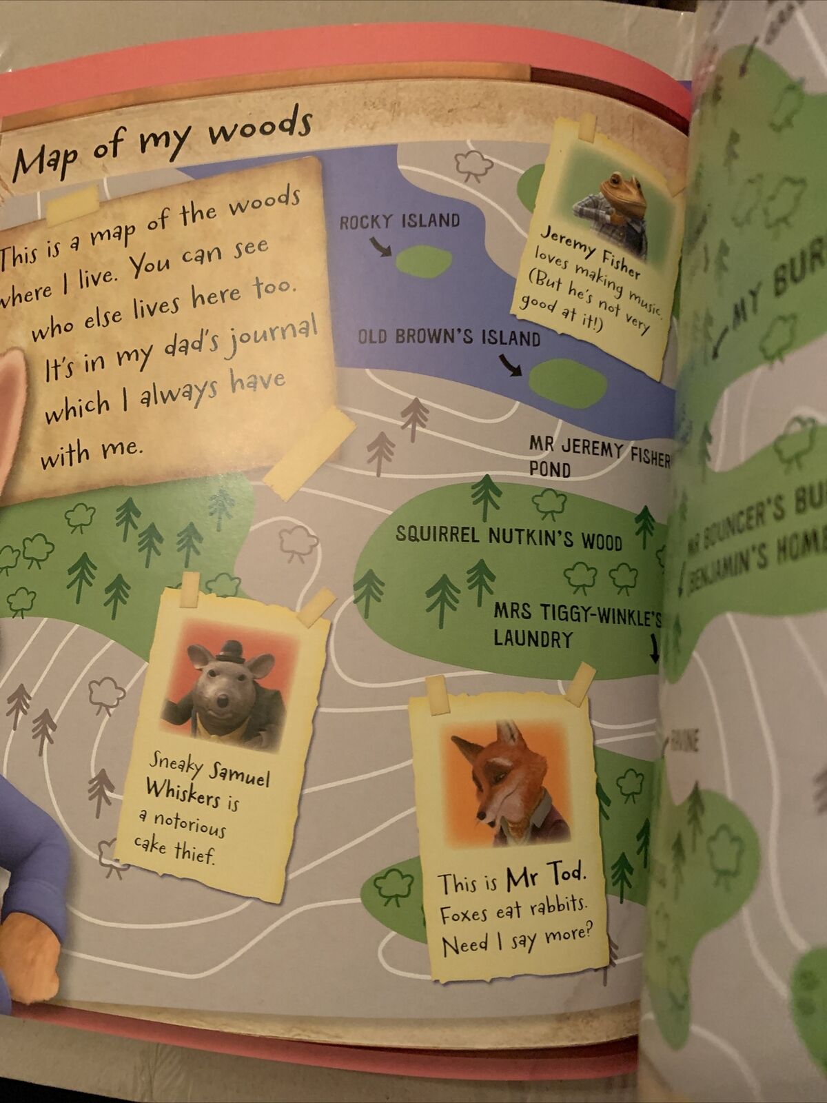 PB Book Lilys Party Time PUFFIN As Seen On TV PETER RABBIT Club Awards