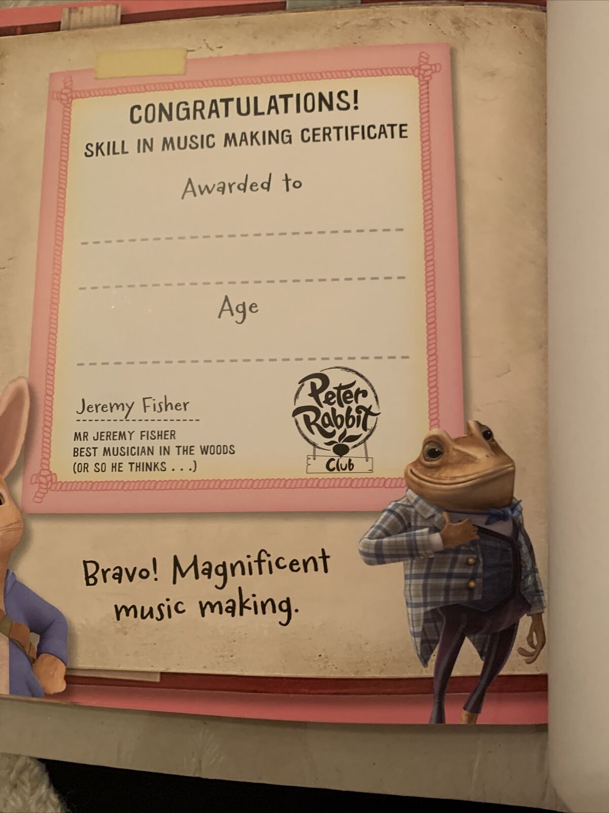 PB Book Lilys Party Time PUFFIN As Seen On TV PETER RABBIT Club Awards