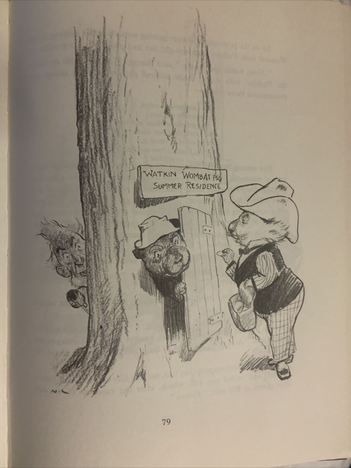 HC Book THE MAGIC PUDDING Adventures of Bunyip Bluegum by Norman Lindsay  1977