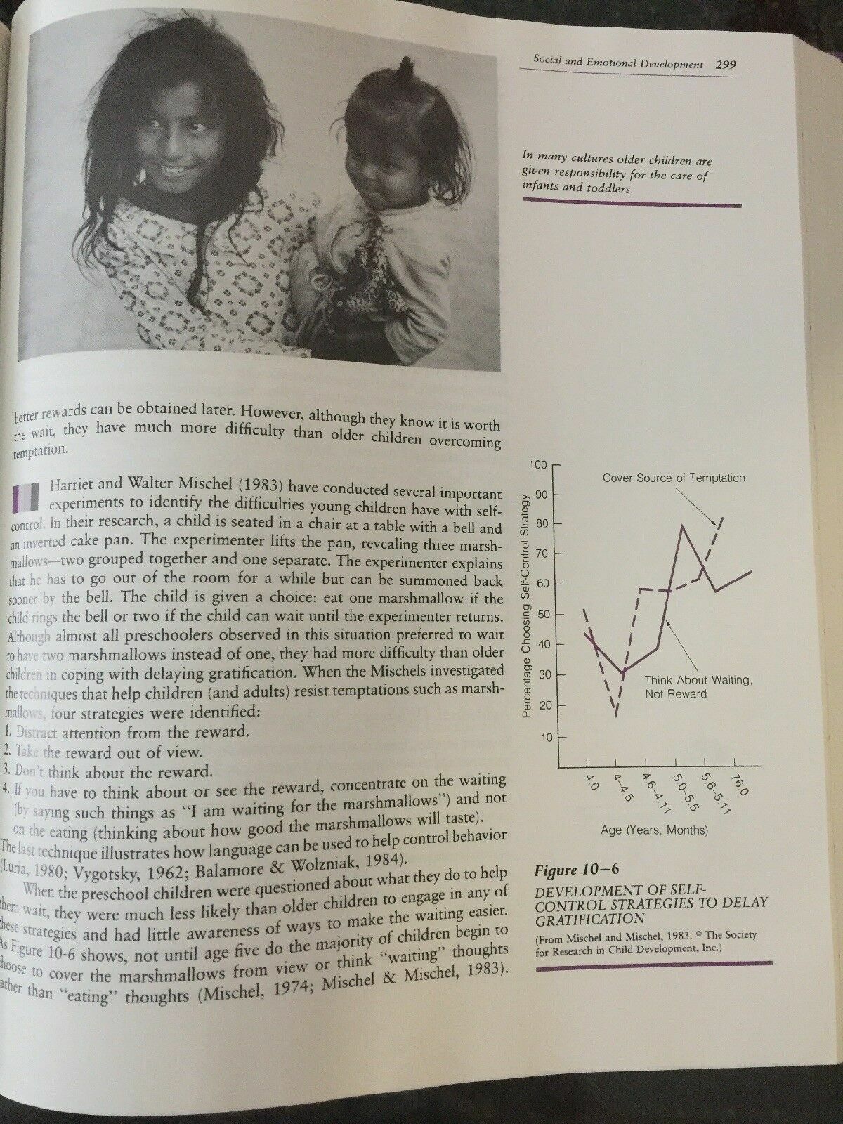 HC Book CHILD DEVELOPMENT  Individual Family & Society Alan Fogel Gail Nelson