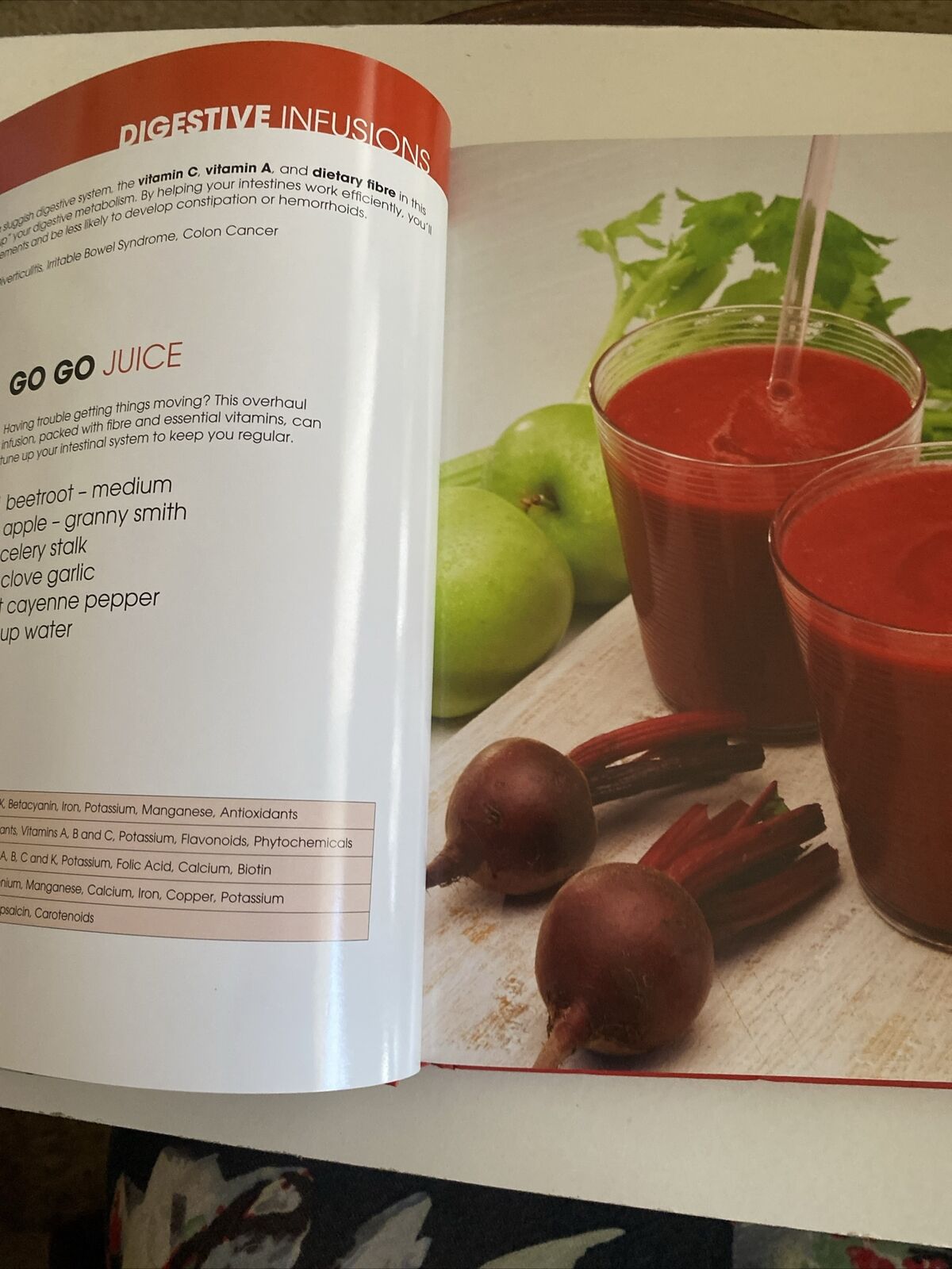 HC DISCOVER THE HEALING POWER OF NUTRIENT INFUSION 50 Healing Recipes 2015 NEW