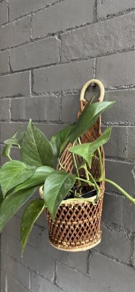 Planter Basket  Vintage 1980's Wicker Rattan Hanging Display ready to hang AE140