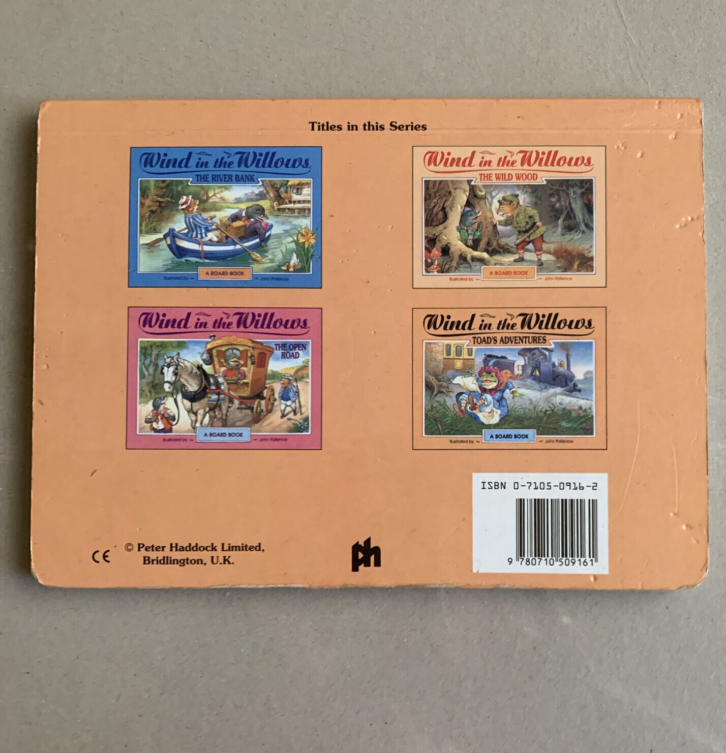 Toad's Adventures illustrated by John Patience Board Book 1996 5 Double Pages