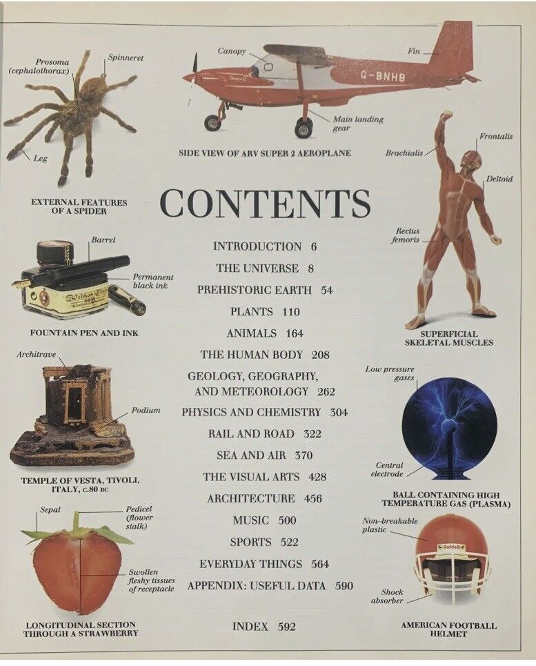 HC Book ULTIMATE VISUAL DICTIONARY Dorling Kindersley 1994 School Reference