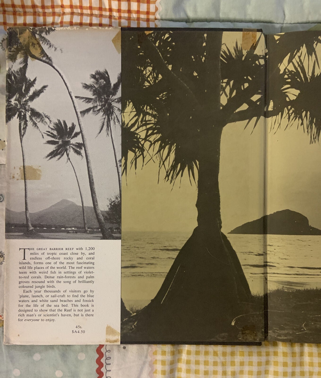 HC Book 1966 THE GREAT BARRIER REEF Eric Worrell LG DJ Inscription Rare Vintage