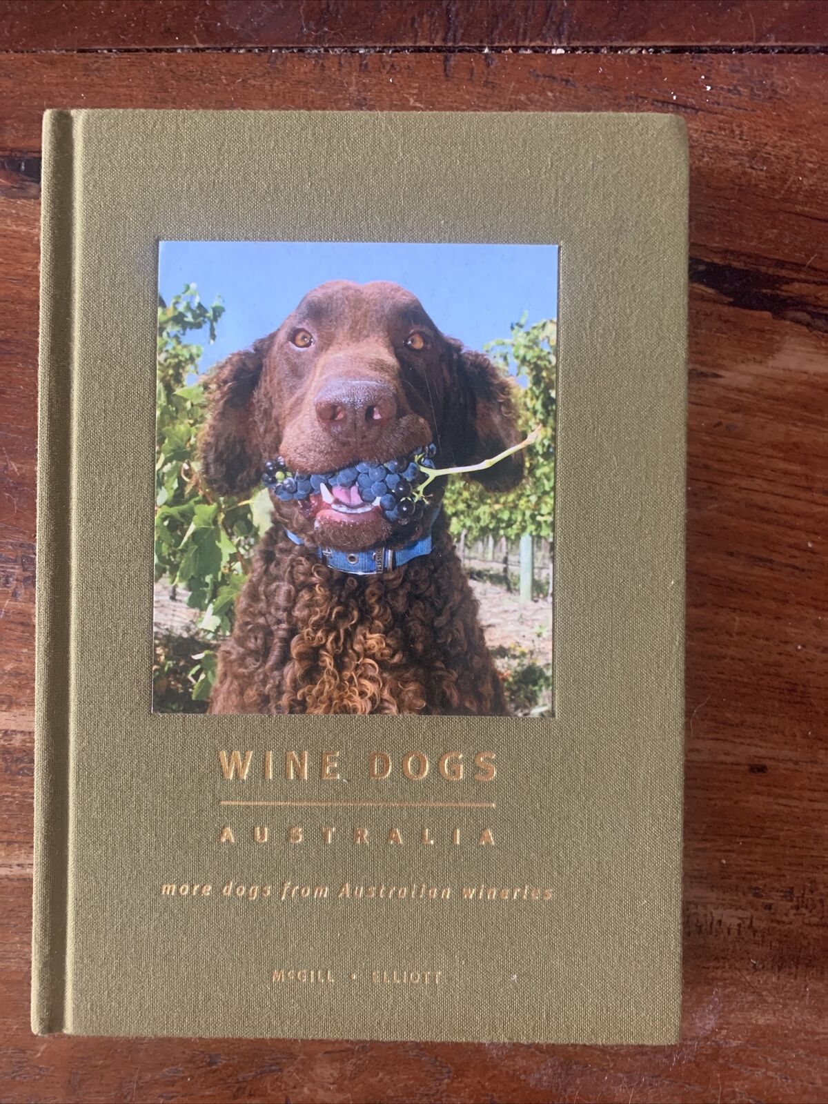 HC WINE DOGS Australia by Craig McGill & Susan Elliott MOTE DOGS reprinted 2008