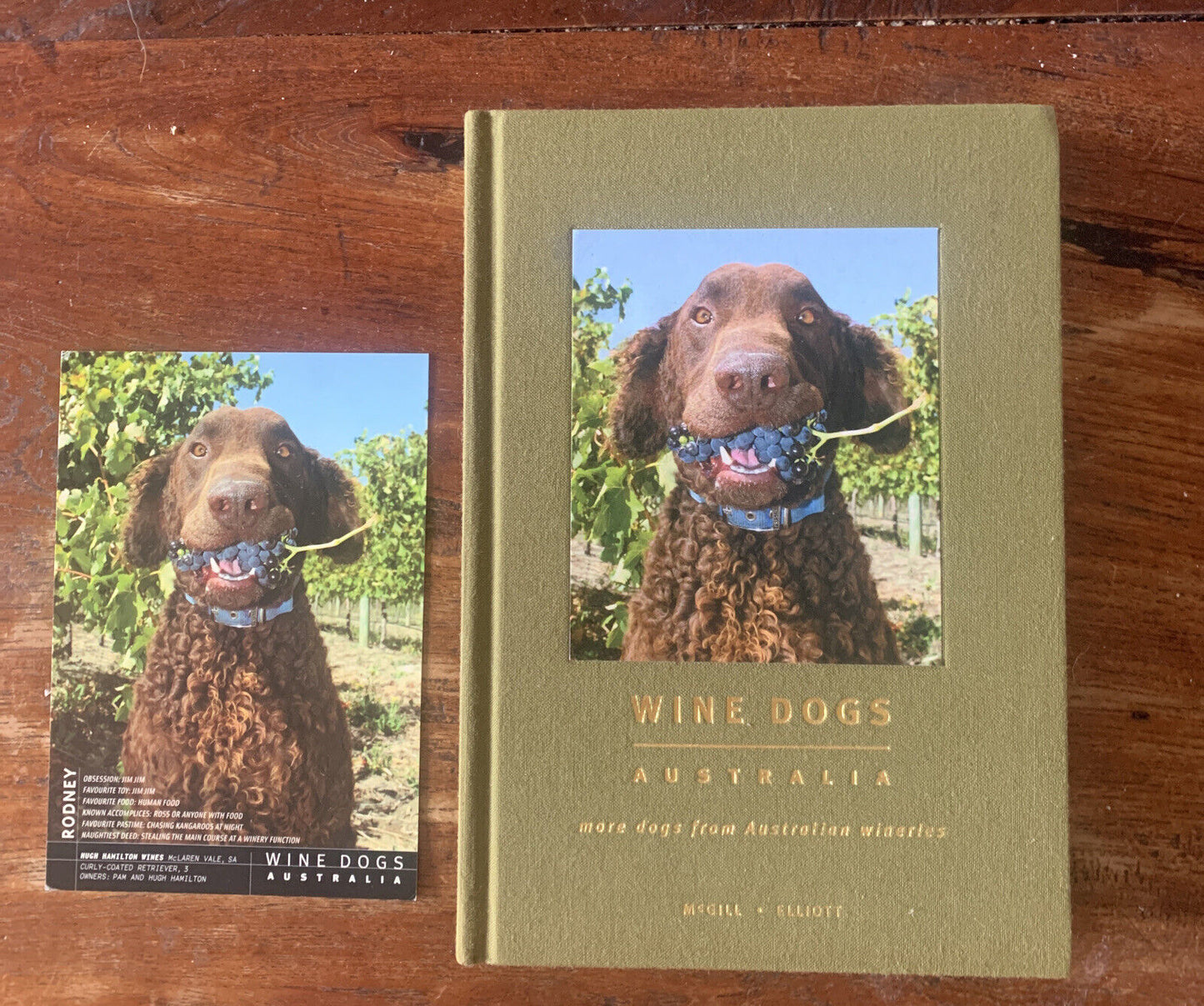 HC WINE DOGS Australia by Craig McGill & Susan Elliott MOTE DOGS reprinted 2008