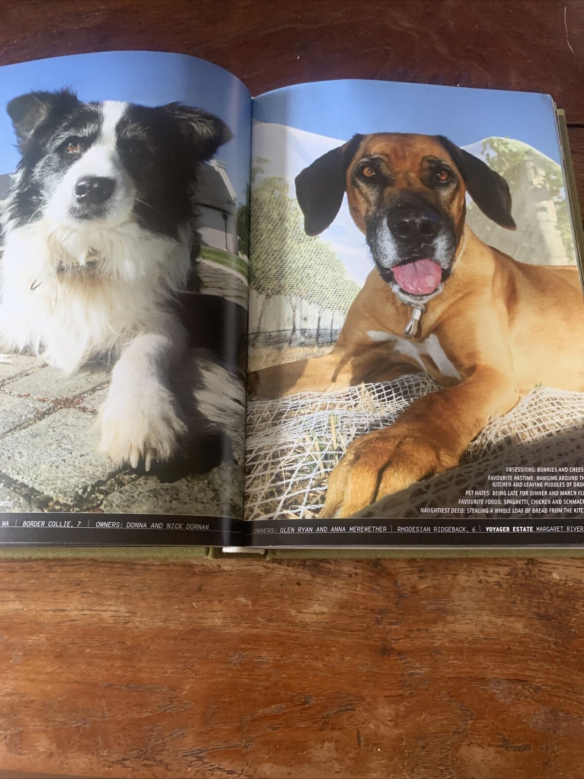 HC WINE DOGS Australia by Craig McGill & Susan Elliott MOTE DOGS reprinted 2008
