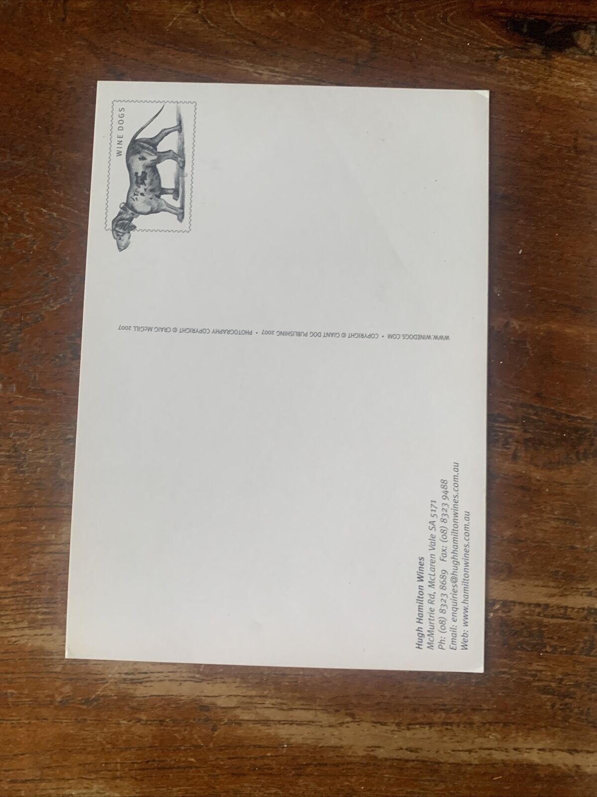 HC WINE DOGS Australia by Craig McGill & Susan Elliott MOTE DOGS reprinted 2008