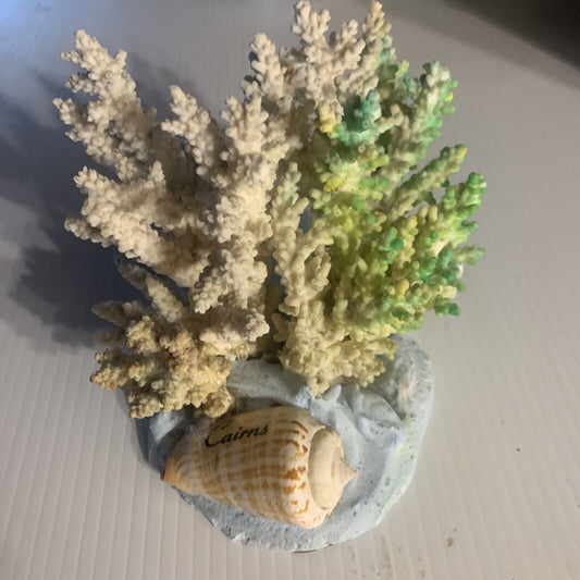 CAIRNS Coral Australian Reef Lace Coral Fossilised Natural Piece Decor Aquarium