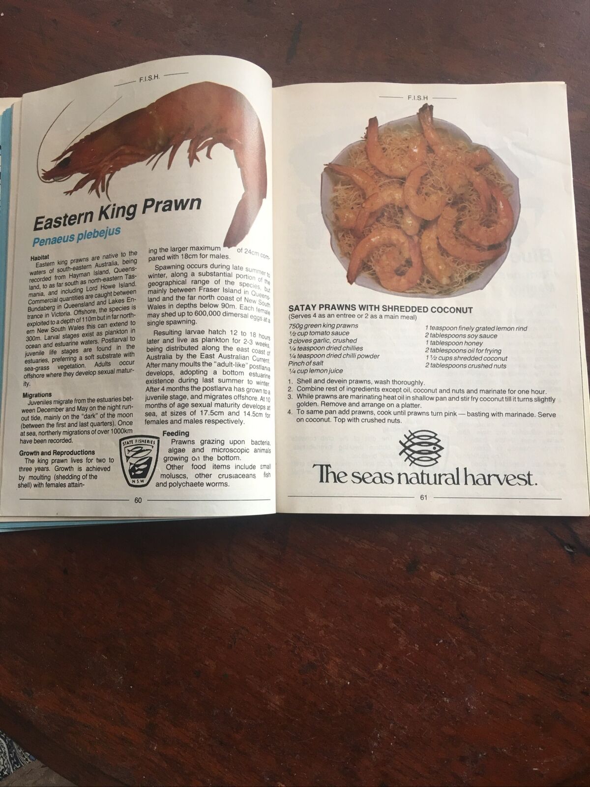 FISH FISHING INFORMATION & SERVICES HANDBOOK NSW FISH TYPES MAPS Recipes 1984-85