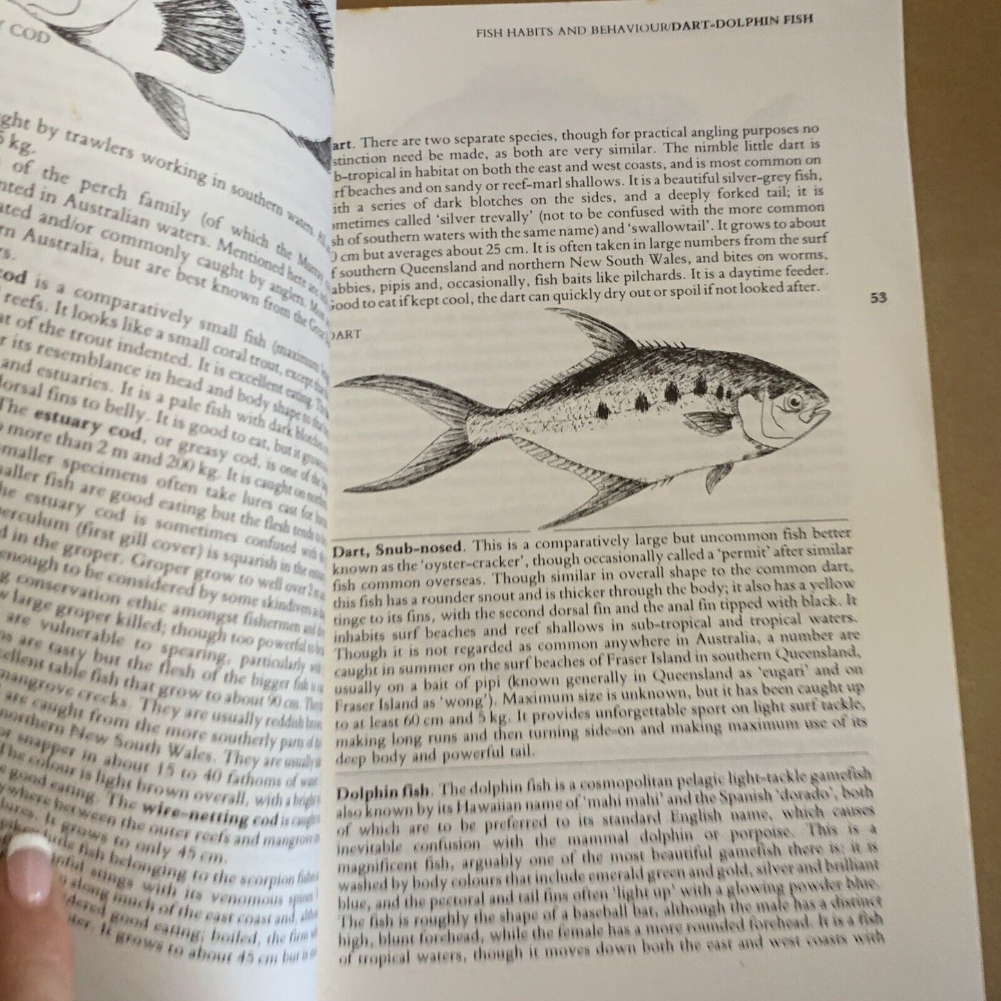 PB Book GREGORYS FISHING GUIDE BOOK 10th  1982 Foxing Illustrated Fish Catalogue