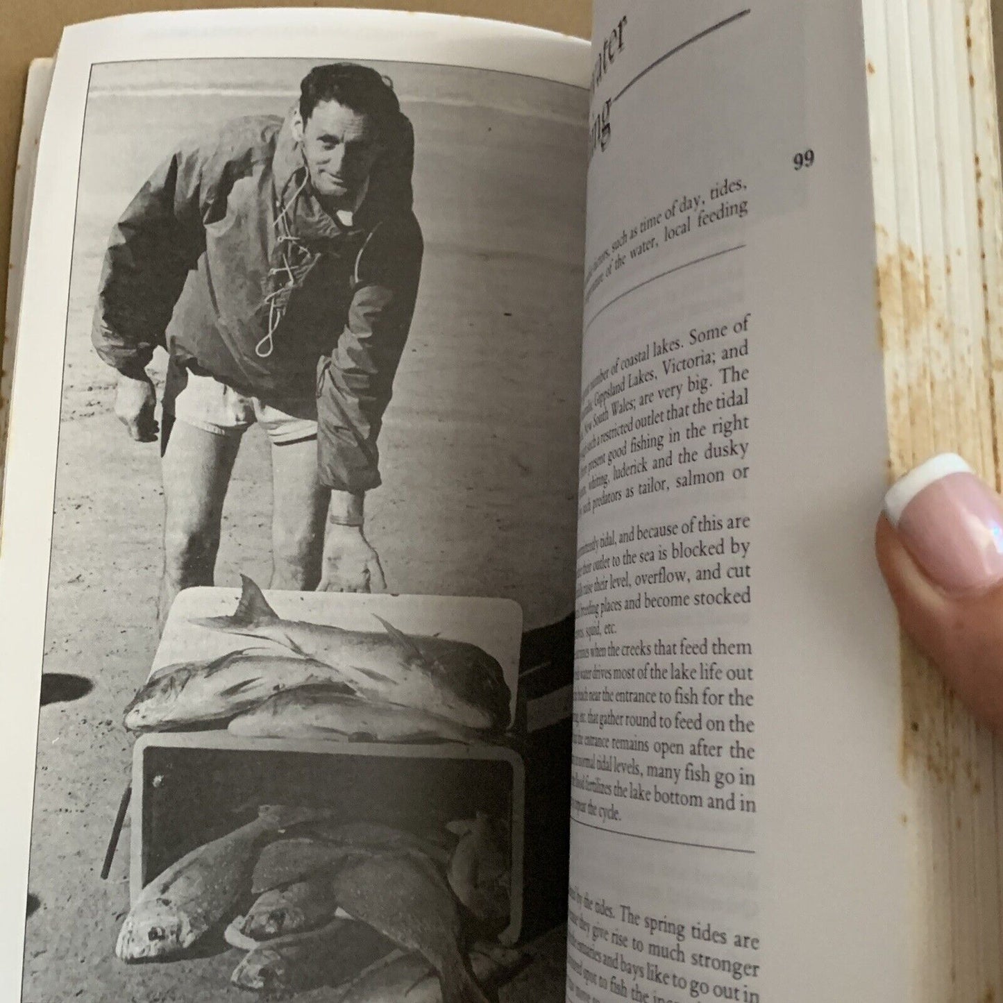 PB Book GREGORYS FISHING GUIDE BOOK 10th  1982 Foxing Illustrated Fish Catalogue