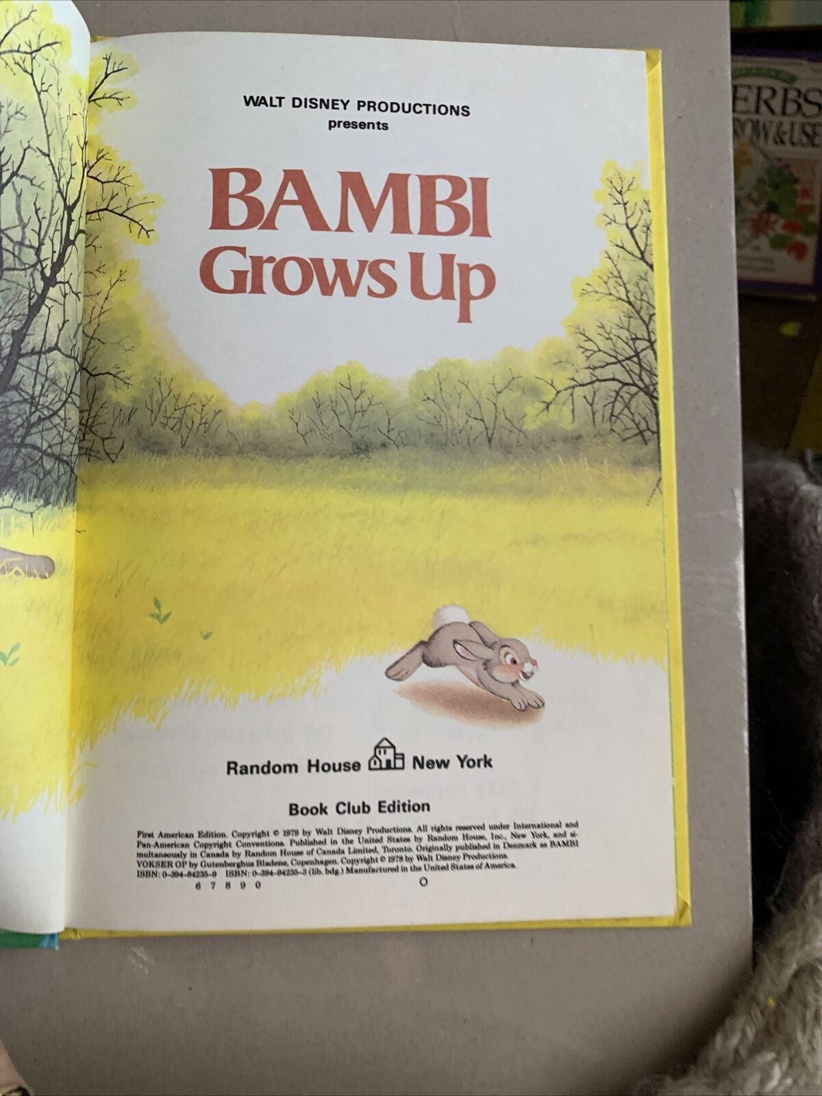 HC Book BAMBI GROWS UP Walt Disney 1979 Club Edition Disneyland Vintage Disneys
