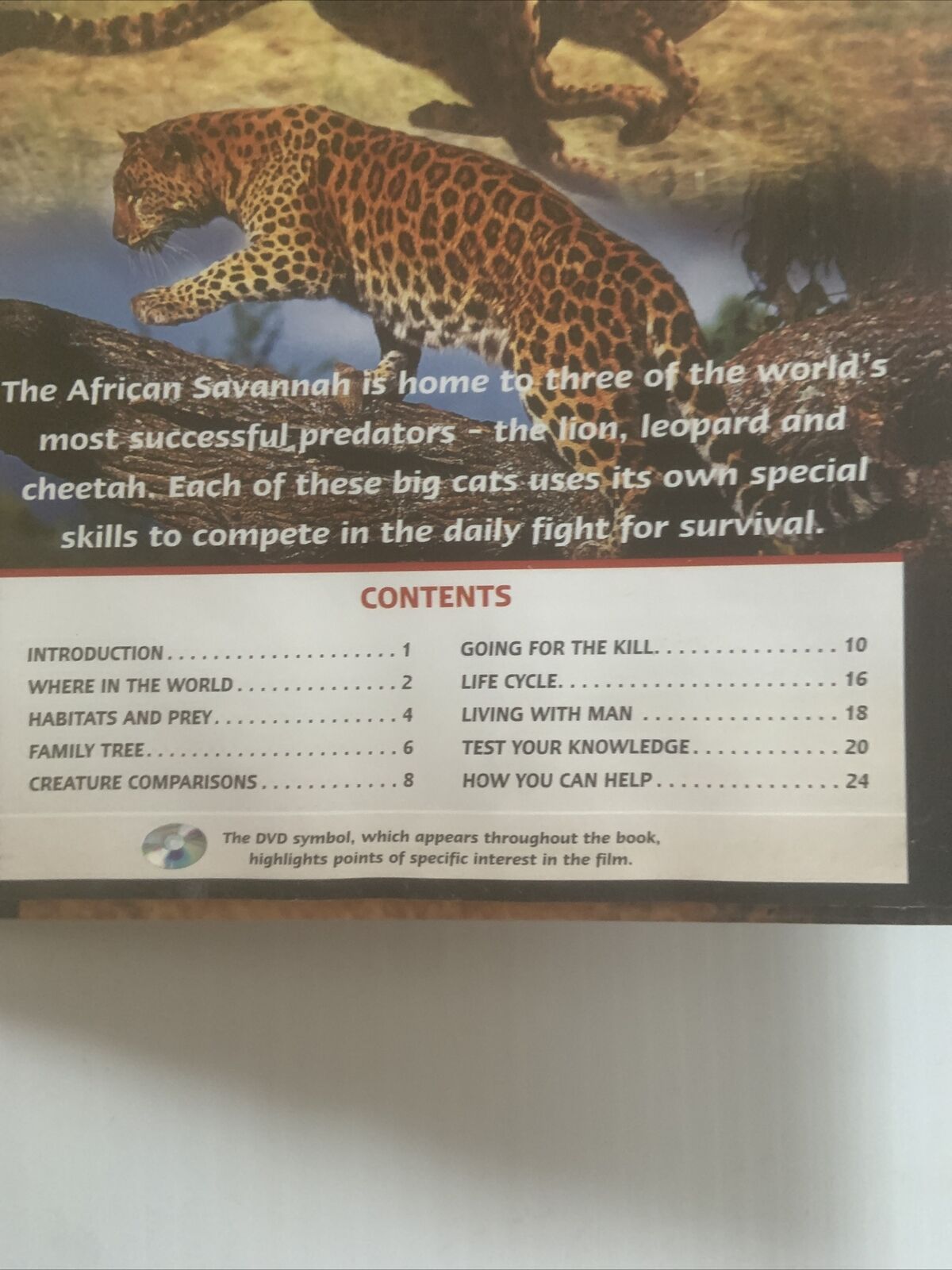 Book & DVD BIG CAT CHALLENGE Natural Killers Predators Close Up Documentary 2005