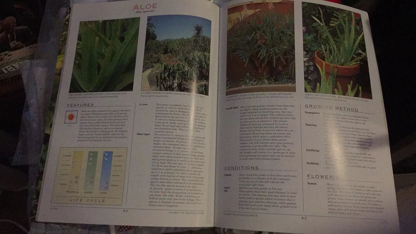 PB GUIIDE TO GROWING CACTUSES Better Homes and Gardens Gardening Plants