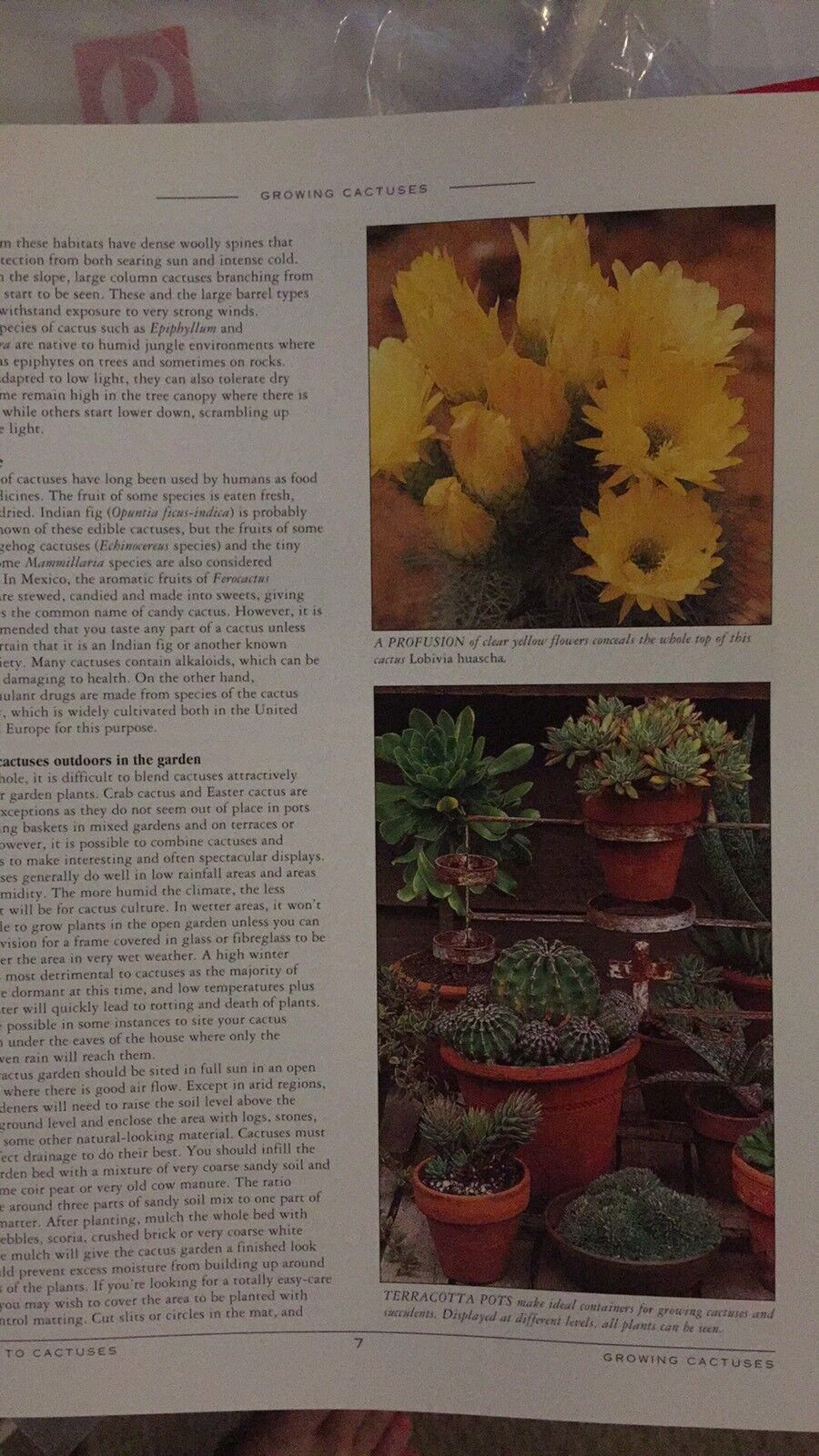 PB GUIIDE TO GROWING CACTUSES Better Homes and Gardens Gardening Plants