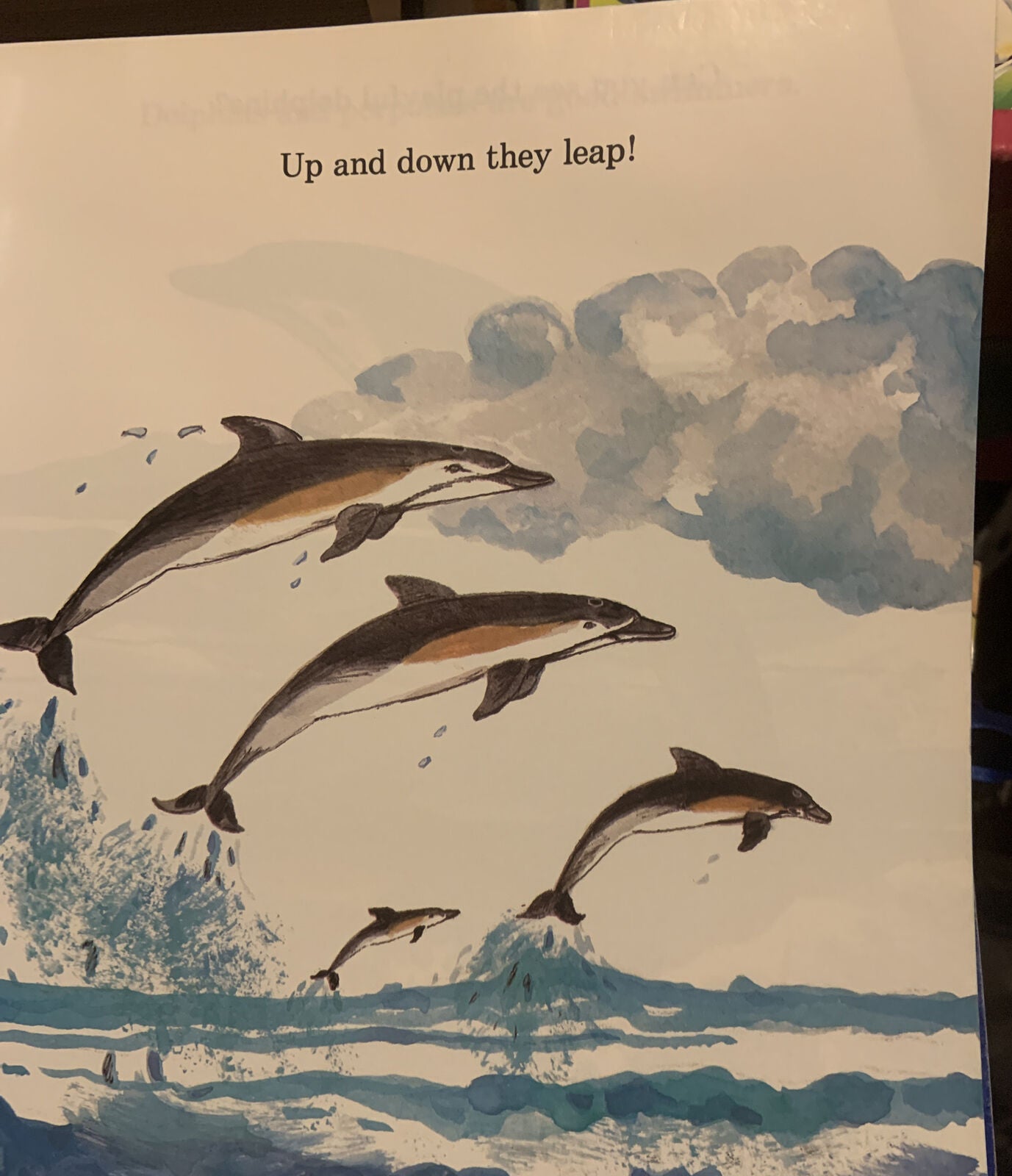 PB Now I Know Dolphins And Porpoises Troll Associates 1985 SEALIFE NATURE Ocean