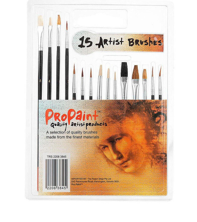 ProPaint 15pc Artist paint brushes in Round liner flat spot Etc NEW