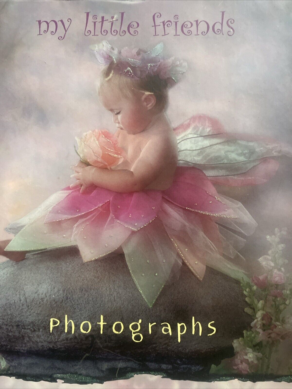 My Little Friends Lisa Jane Photographs Vintage Fairiy Photo Album Ribbon 2005