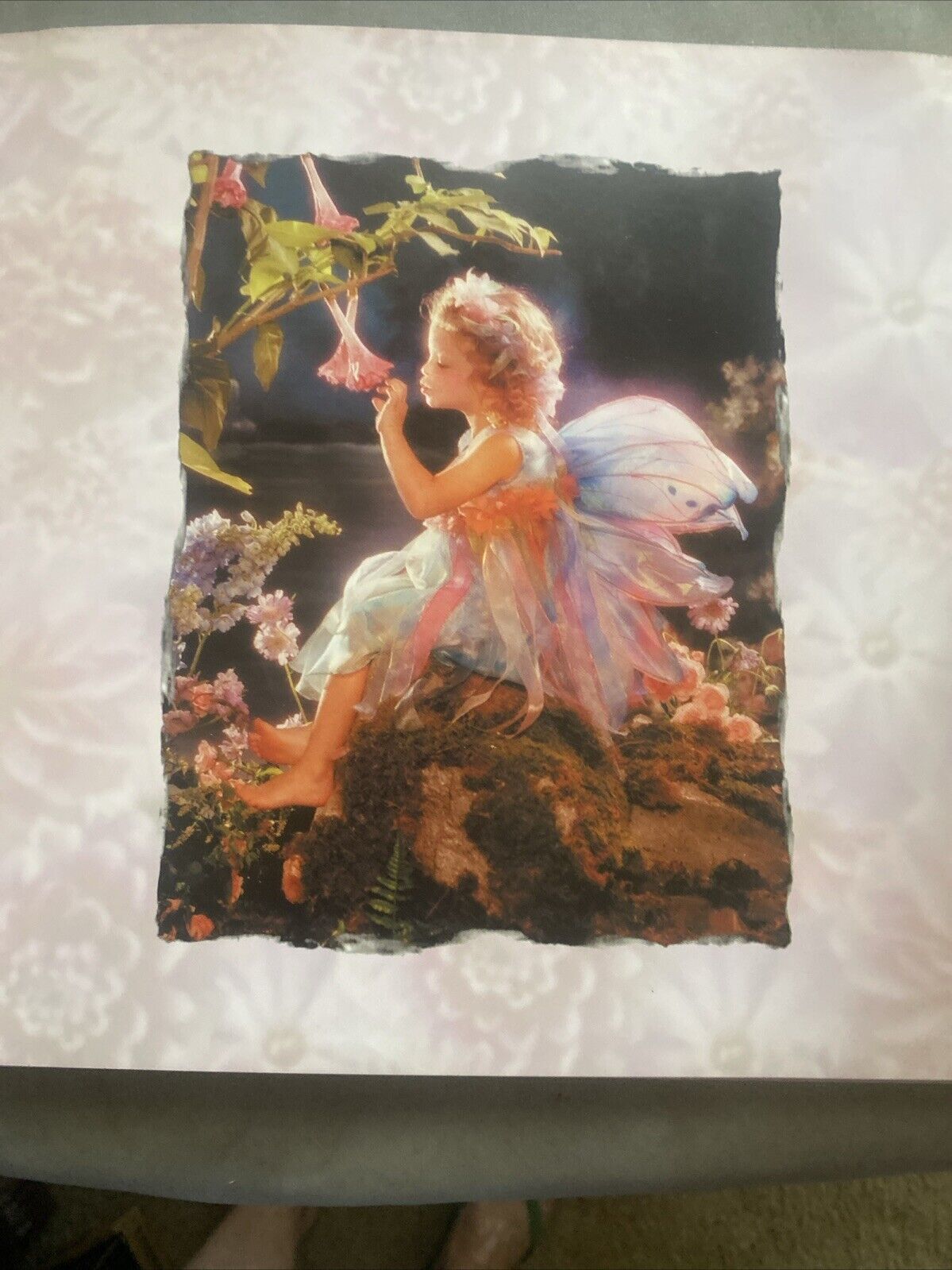 My Little Friends Lisa Jane Photographs Vintage Fairiy Photo Album Ribbon 2005