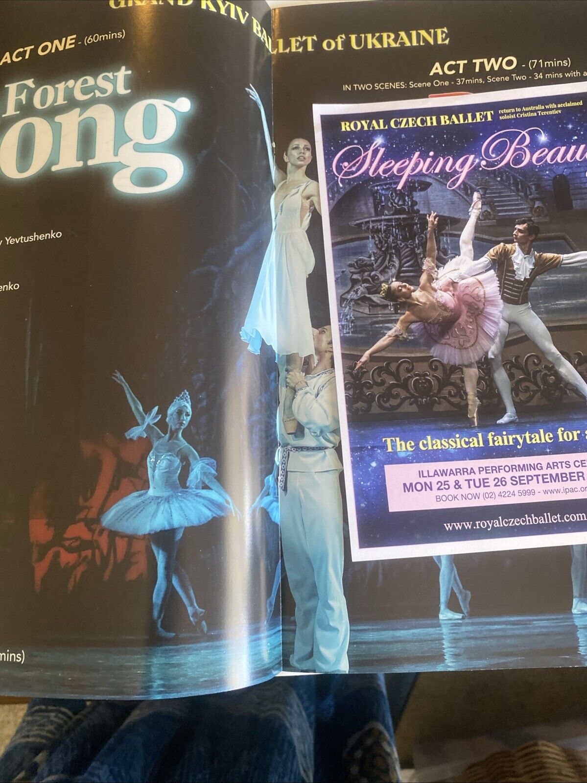 Forest Song Don Quixote Grand Kyiv Ballet of Ukraine Souvenir Program Australia