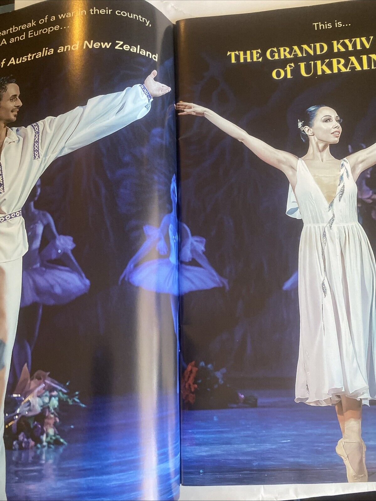 Forest Song Don Quixote Grand Kyiv Ballet of Ukraine Souvenir Program Australia