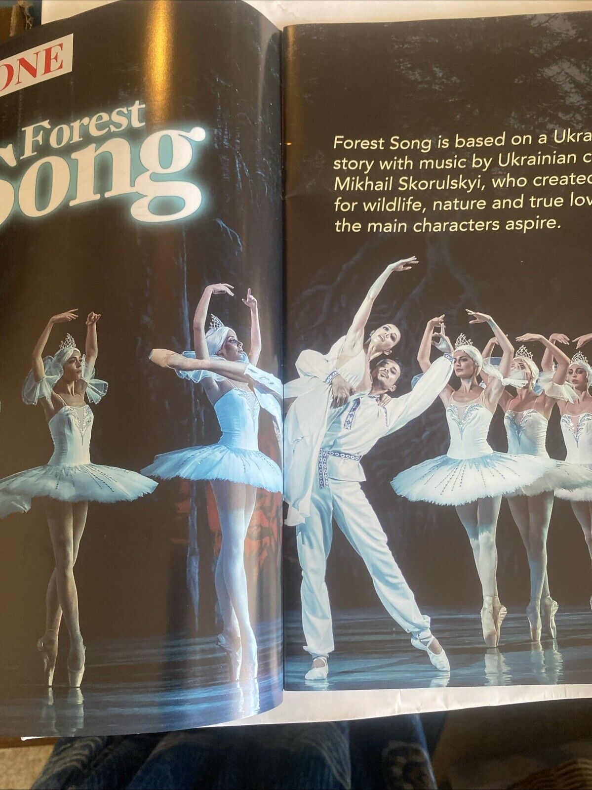 Forest Song Don Quixote Grand Kyiv Ballet of Ukraine Souvenir Program Australia