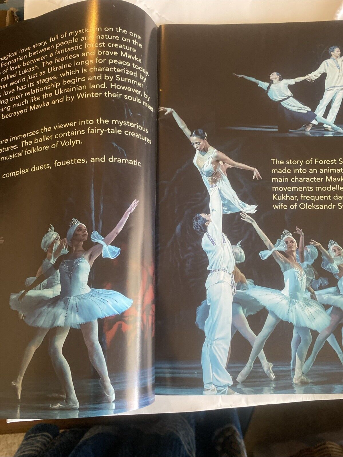 Forest Song Don Quixote Grand Kyiv Ballet of Ukraine Souvenir Program Australia