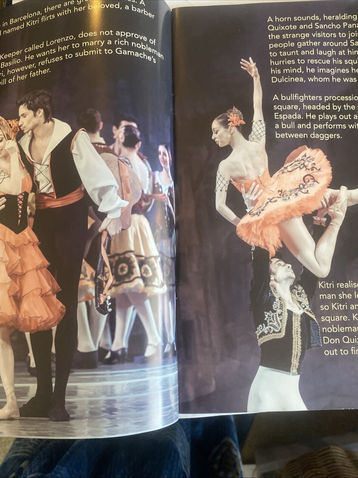 Forest Song Don Quixote Grand Kyiv Ballet of Ukraine Souvenir Program Australia