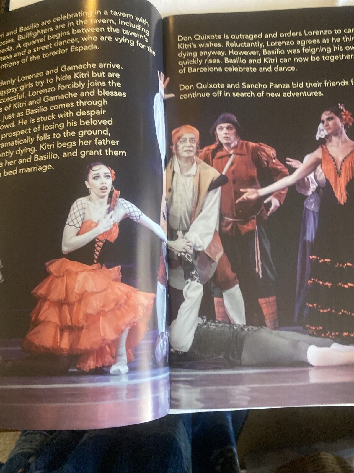 Forest Song Don Quixote Grand Kyiv Ballet of Ukraine Souvenir Program Australia