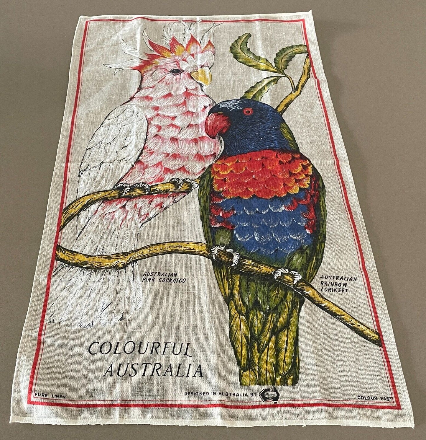 Tea Towel Colourful Australia Australian Pink Cockatoo Rainbow Lorikeet Print