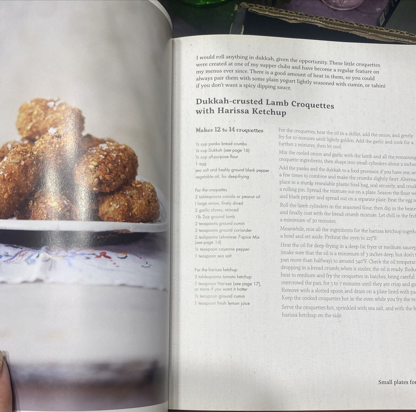 FRESS Bold Fresh Flavours from a Jewish Kitchen Emma Spitzer HC Cookbook Recipes