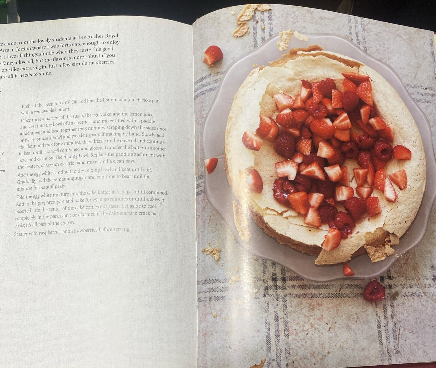 FRESS Bold Fresh Flavours from a Jewish Kitchen Emma Spitzer HC Cookbook Recipes