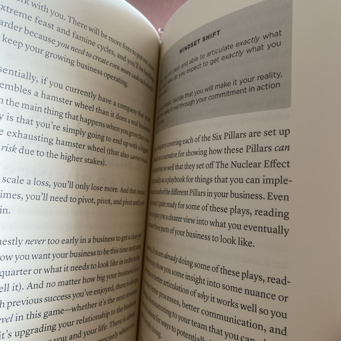 PB Book THE NUCLEAR EFFECT The 6 Pillars of Building a 7+ Figure Online Business