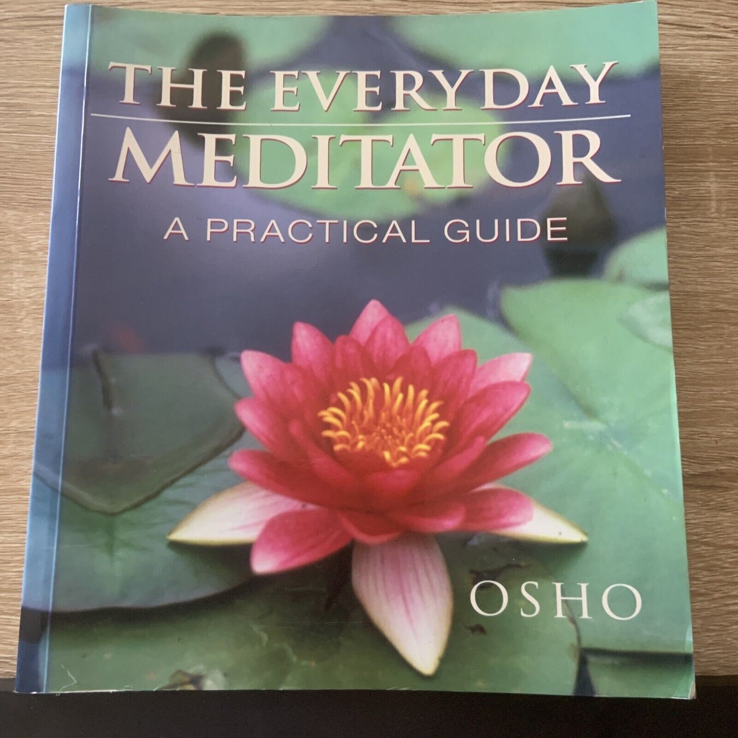 PB Book THE EVERYDAY MEDITATOR by Osho Meditation Practical Guide Chakra Breath