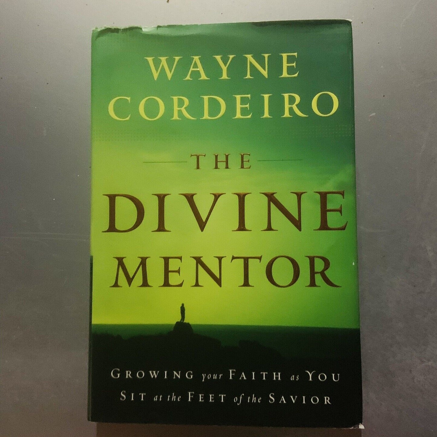 THE DIVINE MENTOR Growing Your Faith Wayne Cordiero Spiritual Development 2007