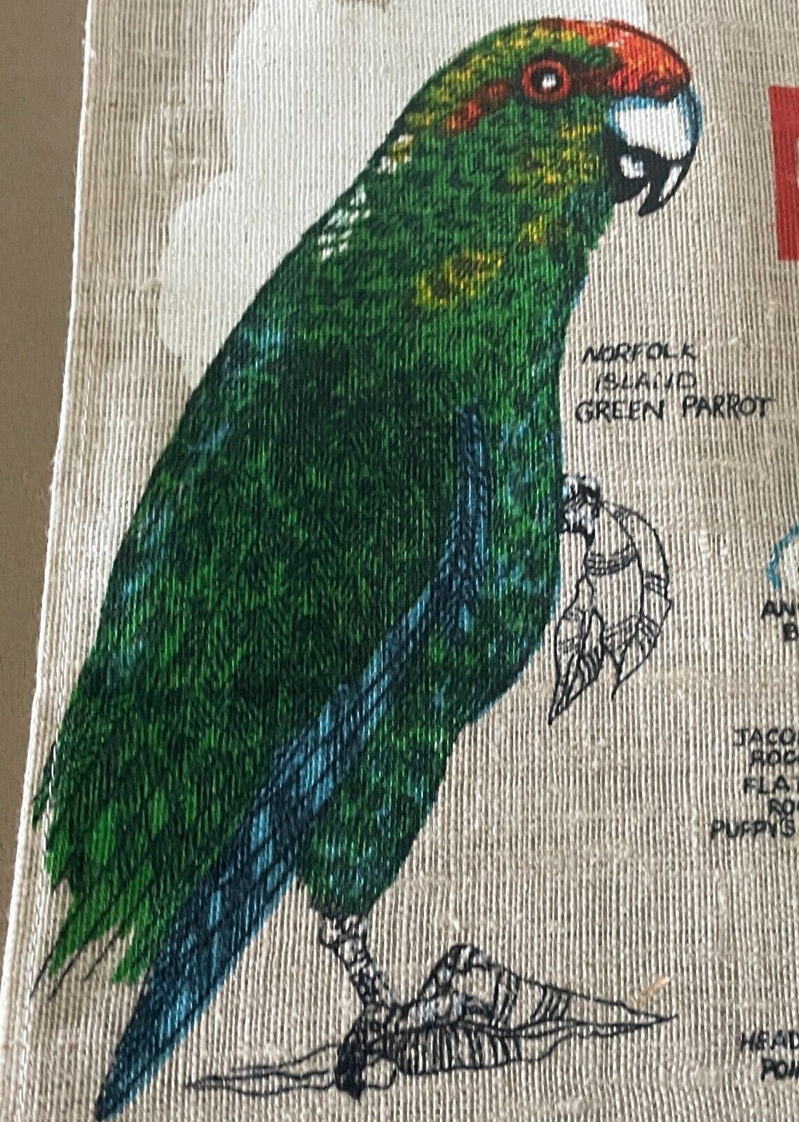 Vintage Tea Towel BIRDS OF NORFOLK ISLAND Map of Norfolk Island Print Souvenir