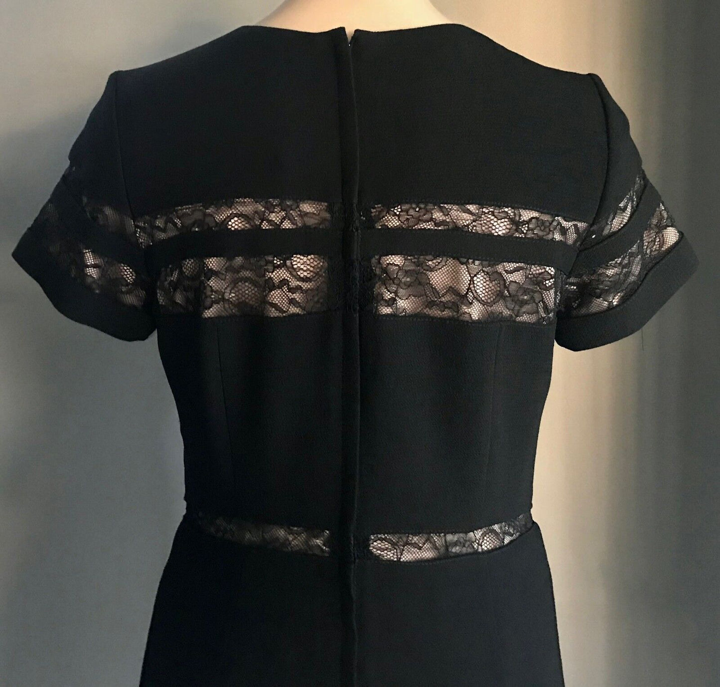 TARGET COLLECTION Dress Lace Insert Sh/Sleeve Shift Sz 1 0 Black Blush Pink NEW