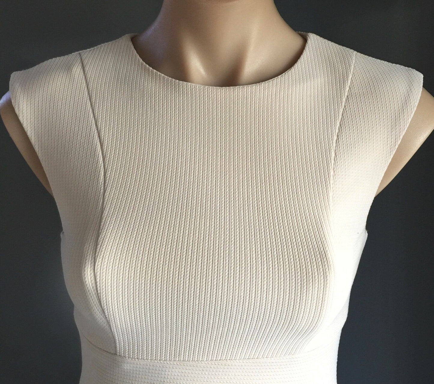 RUMOR BOUTIQUE EXECUTIVE PONIES Top Cream Texture Sleeveless Stretch Sz 8 10 NEW