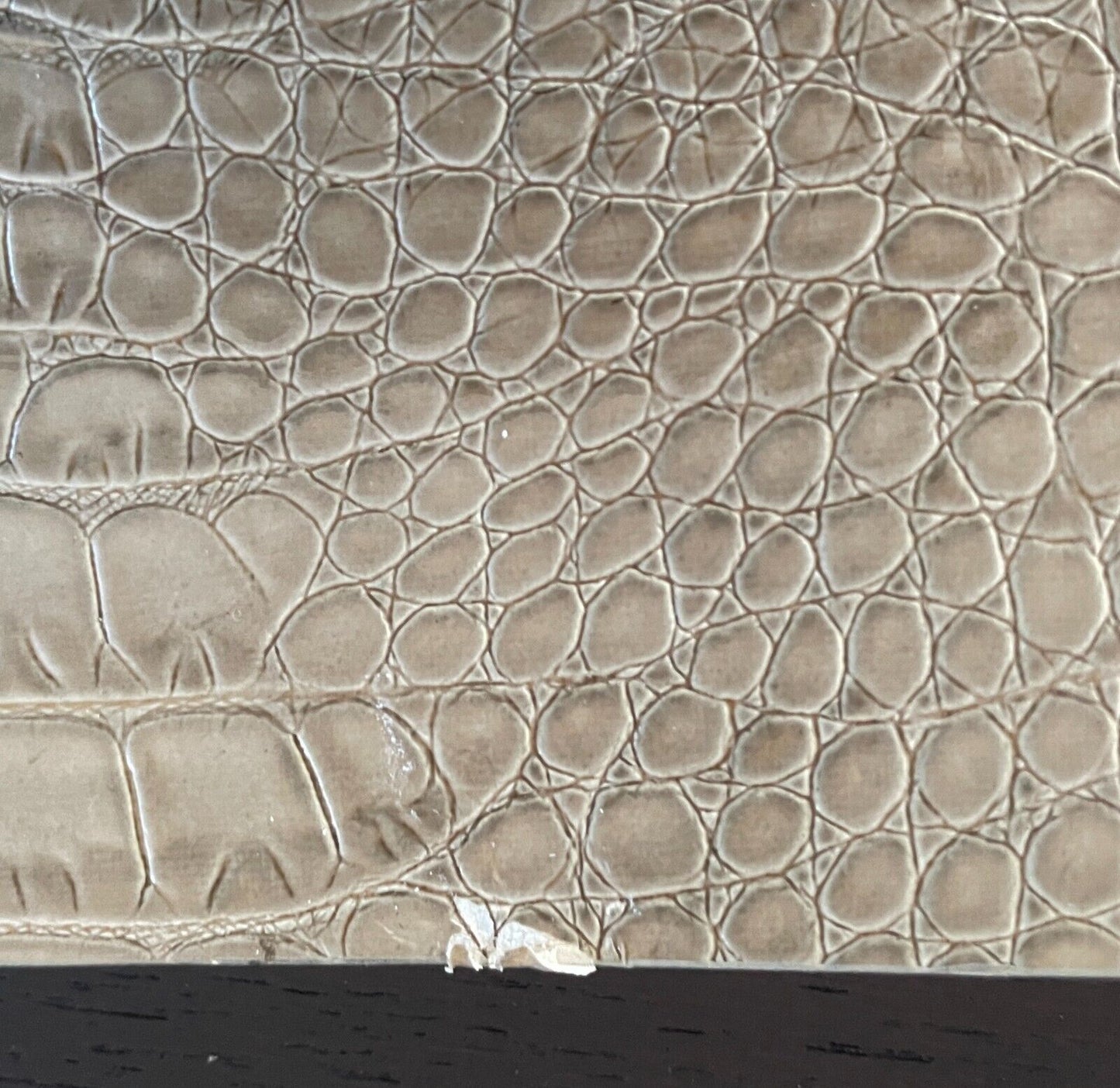 WHITE HOUSE BLACK MARKET Beige Snake Print PU/Pleather Belt Size L 6.5cm Wide
