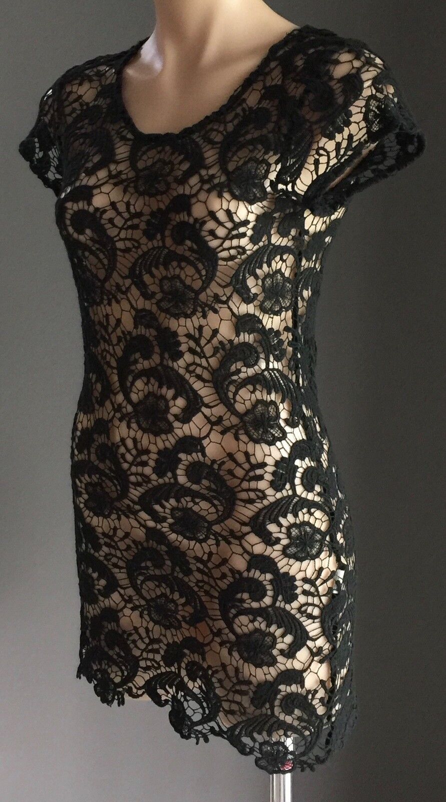 PASSION Retro Chic Fusion Sheer Black Lace Short Sleeve Ladies Size M 10 NEW